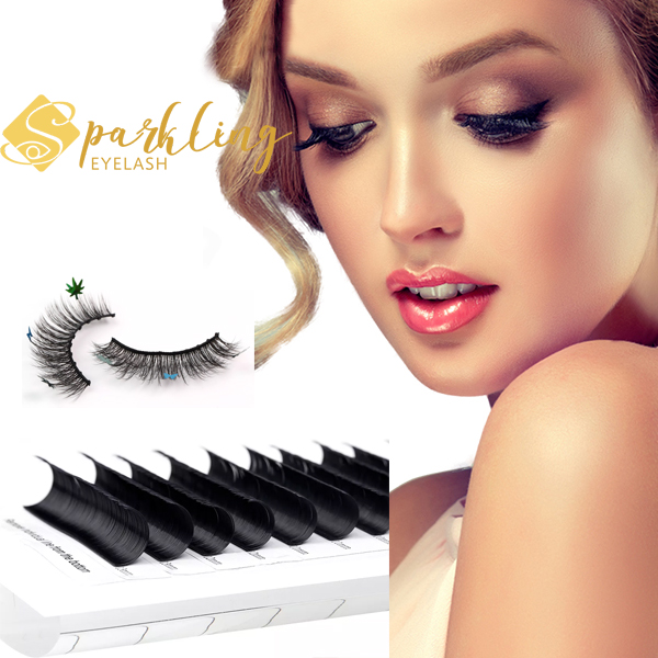 Cé acu is fearr, lashes Stráice nó síntí eyelash?