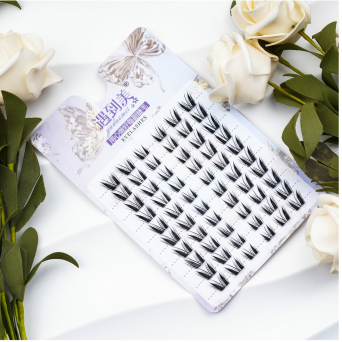 Braisle Eyelash Band soiléir1